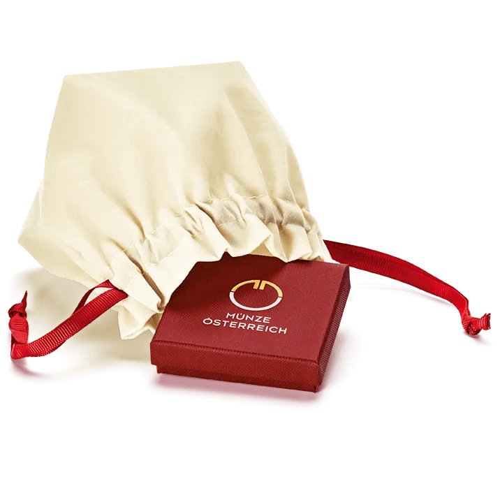 Velvet Gift Bag