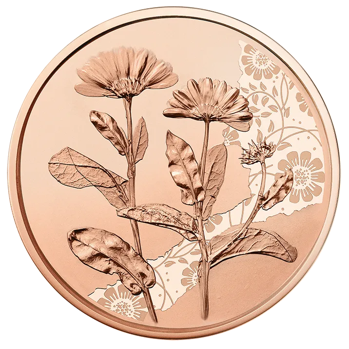 10 Euro Copper Marigold Coin Unc