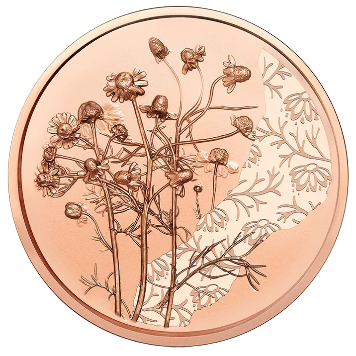 10 Euro Copper Chamomile Coin Unc