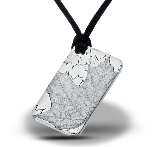 Wonders of Nature 10g Silver Bar - Maple Leaves