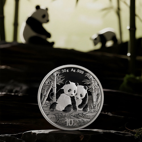 2026年銘 中国パンダ銀貨 30g