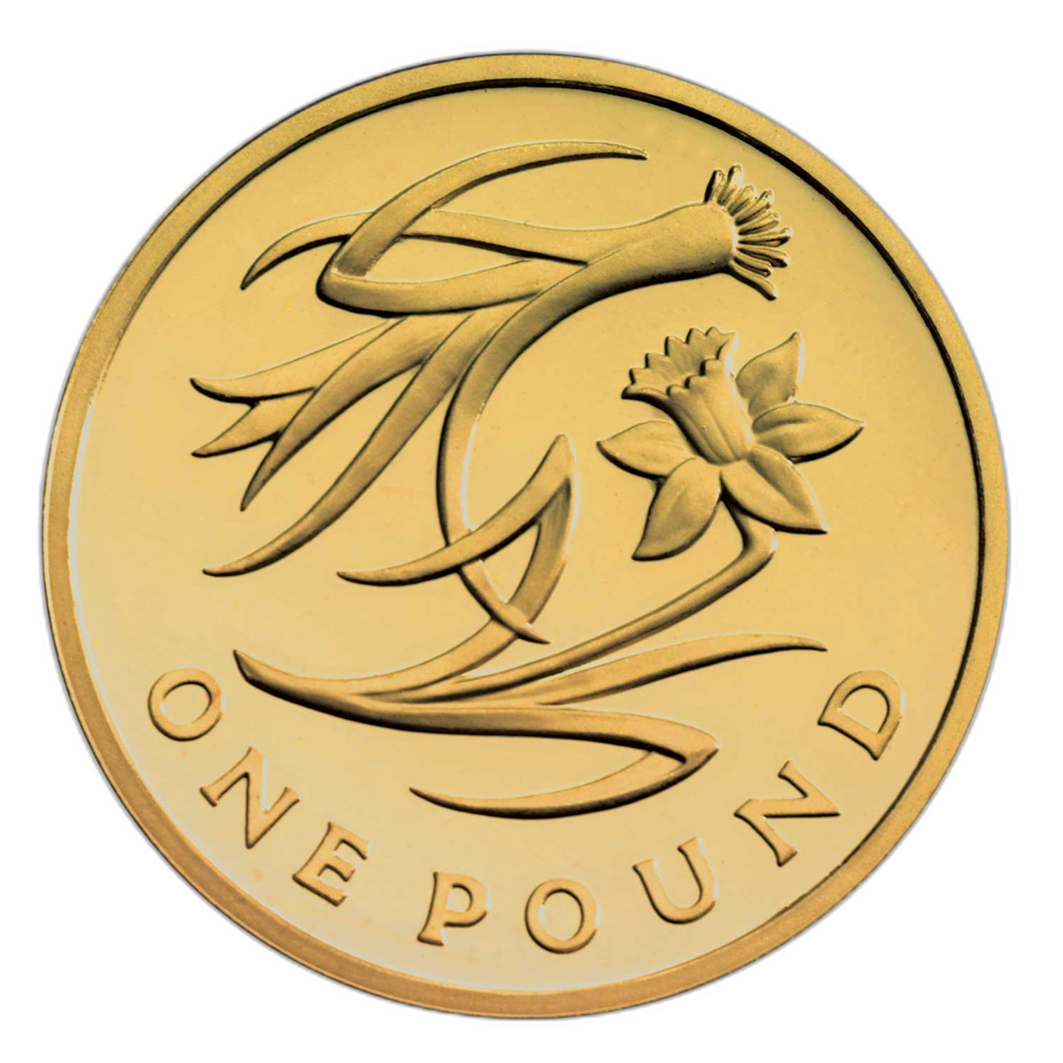 2013年 エリザベス2世 英国花の紋章 ウェールズ 1ポンド硬貨