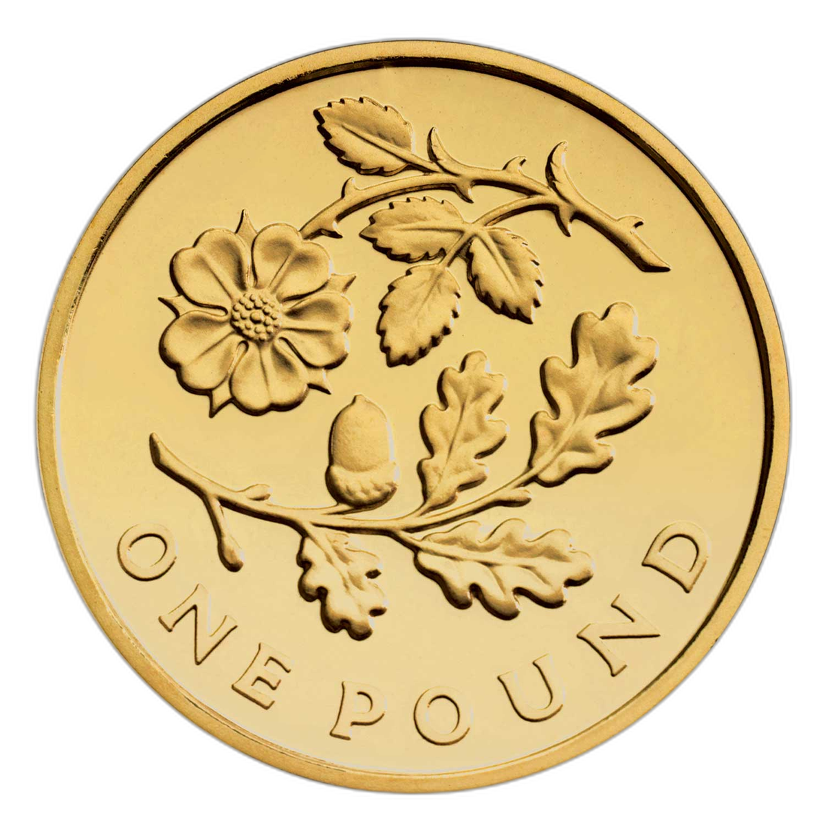 2013年 エリザベス2世「イングランドの花」1ポンド硬貨